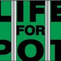 Life for Pot(@lifeforpot) 's Twitter Profile Photo