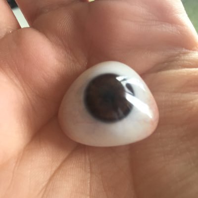 I'm just a girl with a prosthetic eye posting the daily struggles I deal with. Most of them are hilarious so hit the follow button and prepare to laugh.