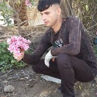 علي سعدون (@alisadon1991) Twitter profile photo