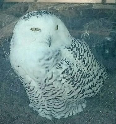 mneaiortioot's profile picture. 