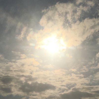 wondersoftoday's profile picture. 