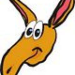 info05610887's profile picture. ESL Teacher