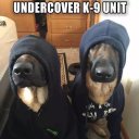 Jonathan Rife - @Jon_rife - Twitter