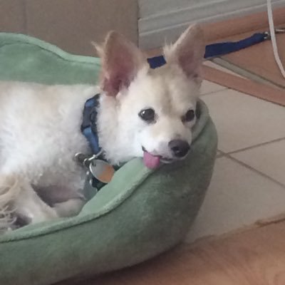 chandlerchonce's profile picture. hi how are ya im chandler