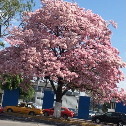 miramontesg's profile picture. 