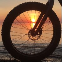 Don Roppolo Jr (@donroppolo) 's Twitter Profile