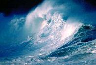 SoyAguaDeMar's profile picture. 