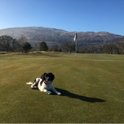 davidcoleinone's profile picture. 