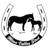 Meon Valley Stud (@meonvalleystud) 's Twitter Profile