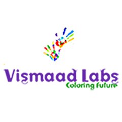 Vismaad Labs is the best web designing Company in India