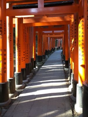 beta_caojin's profile picture. Melbournian|Father|Nerd|Foodie