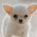 Dania Ramos - @love_emoji300 - Twitter