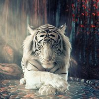 Abhinav Sharma (@abhinavisharma) 's Twitter Profile