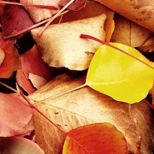 cremadellavita's profile picture. La crema della vita (The cream of life) being the magic of life, the sweetness, the flavour, the indulgence…