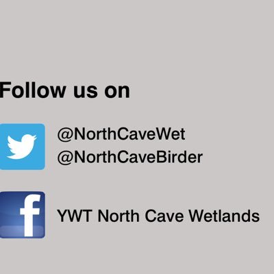 NorthCaveBirder Profile Picture