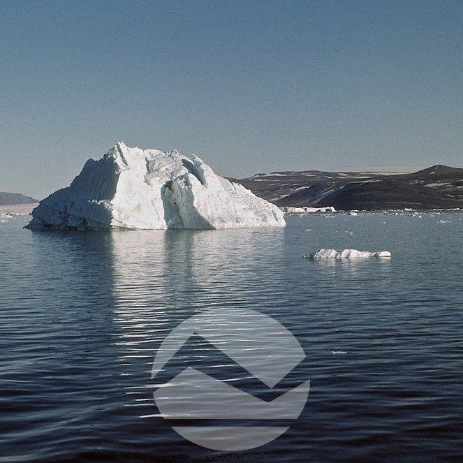 arktiskinstitut Profile Picture
