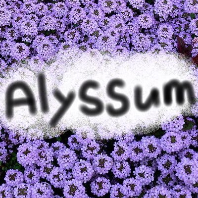 Alyssum_chann Profile Picture