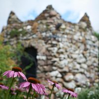 Woburn Abbey Gardens (@woburngardeners) 's Twitter Profile