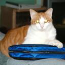 Christopher Bauer - @Funkypizzaman - Twitter