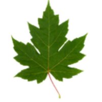 ACECHR-ACCSDC (@acechr_accsdc) 's Twitter Profile