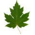 ACECHR-ACCSDC (@acechr_accsdc) Twitter profile photo ACECHR-ACCSDC (@acechr_accsdc) Twitter profile photo