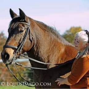 CMC, CMCA, OMCA, NTCCC, H2H, COCA... also the provider of room service and housekeeping for an oversized pony #dotherightthing