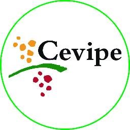 Cevipe Grup Cooperatiu és una empresa cooperativa de segon grau que integra 13 cooperatives vinícoles arrelades al territori.