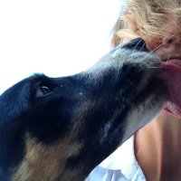 Maggie King (@mhk_king) 's Twitter Profile