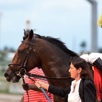 Josie Carroll Profile