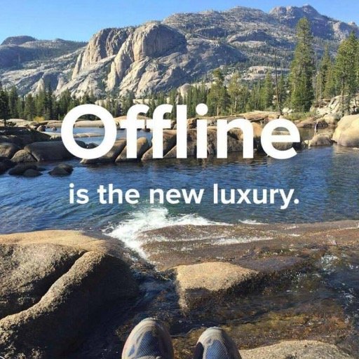 inzynier's profile picture. Software Engineer