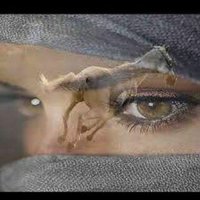 aida mohammed (@aida_douda) 's Twitter Profile Photo aida mohammed (@aida_douda) 's Twitter Profile Photo