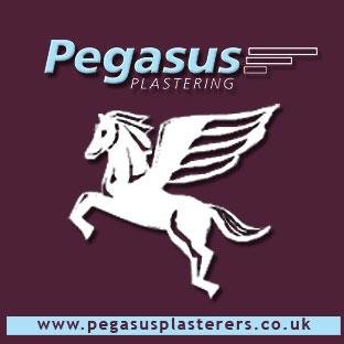 PegasusPlaster Profile Picture