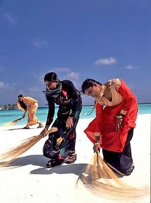 Love | Travel | Animal | Coffee
#Maldives ✴ Tweet ⏭ beautiful pictures & information about the country's culture, attractions & destinations