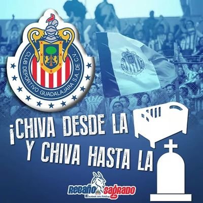 Deportes Fútbol