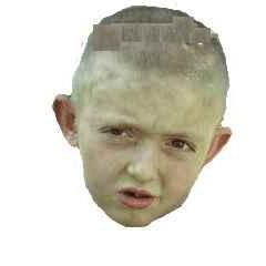 LargePotate's profile picture. I sell memes and meme accessories.