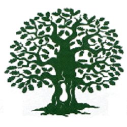 Bay Cities Tree Preservation: Excellence in Tree Care. Serving the greater Los Angeles area since 1930