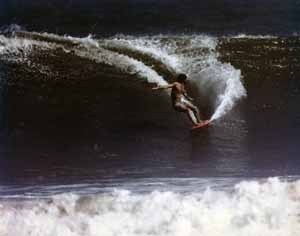 pagehill's profile picture. I farm coffee and tropical fruits in HI. I also have been given a great position with a great networking co.