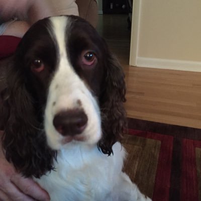 elise111111's profile picture. 