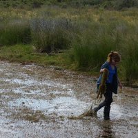 Dr. Charbonnier (@modernecologist) 's Twitter Profile