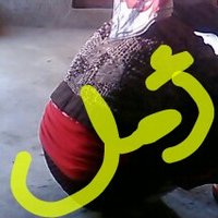 أمل (@amil90021) Twitter profile photo