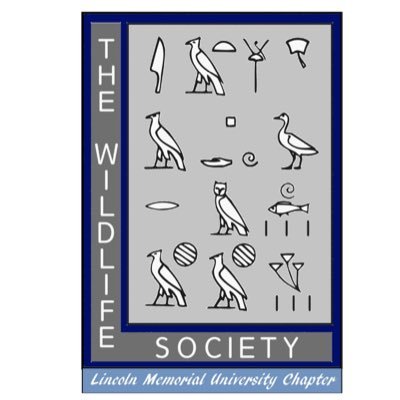 Official Twitter Account for the LMU Student Chapter of The Wildlife Society! Follow to stay updated on all upcoming events and club news! #lmuwildlifesociety