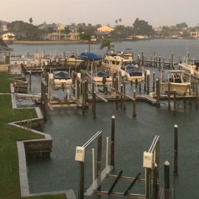 rhickey1941's profile picture. #Election2016 #Election2016 News US & World News Technology & Science