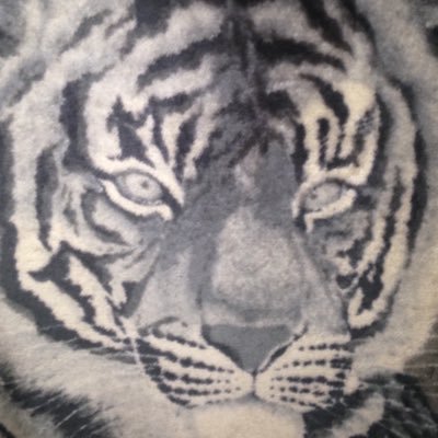 dLower123's profile picture. 