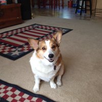 Coe A. Harper (@a_charper) 's Twitter Profile