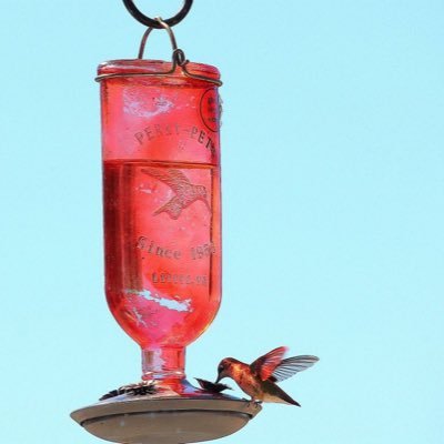 Mammie1964's profile picture. 