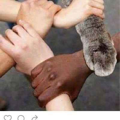 teri688's profile picture. 