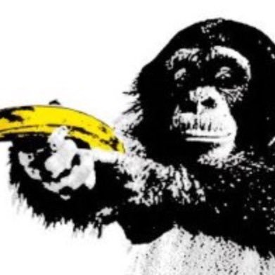 pclitheroe's profile picture. 