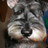 geri_m's profile image