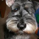 Geraldine Marsh - @geri_m - Twitter