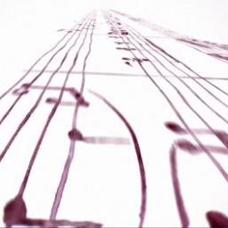 CoolWineClub's profile picture. 